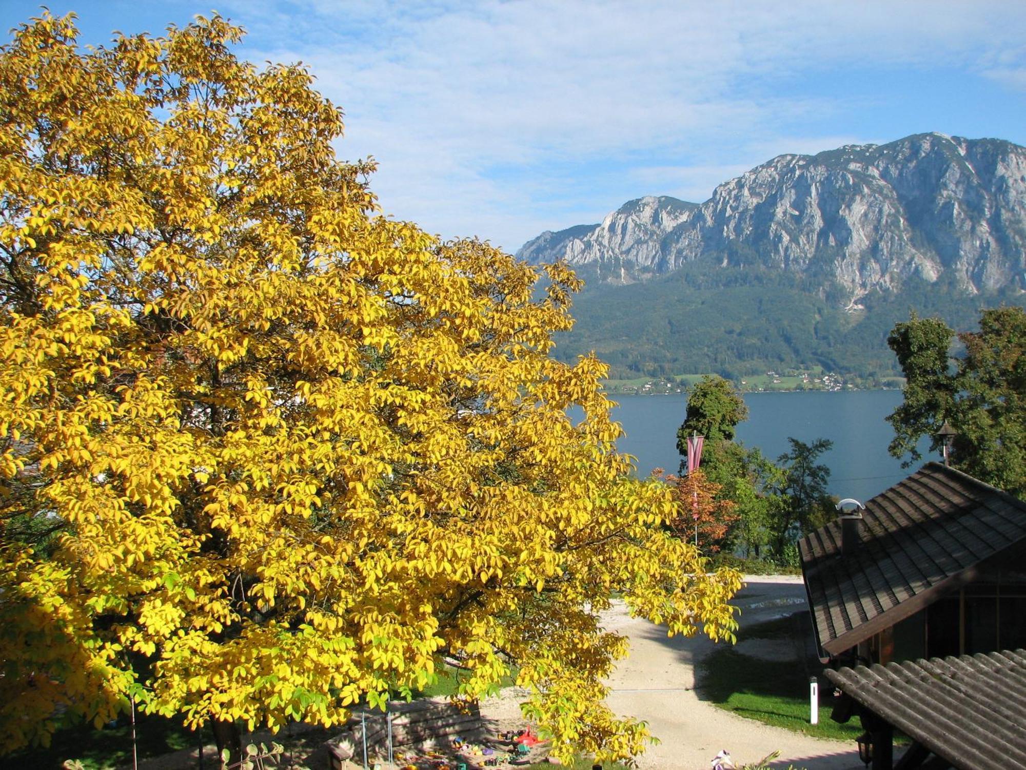 Pension Christina Unterach am Attersee Pokój zdjęcie